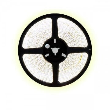 5 meter CCT led strip DUAL LED - 120Leds/m - 24V