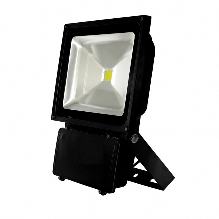 100W LED Schijnwerper Wit 4000K