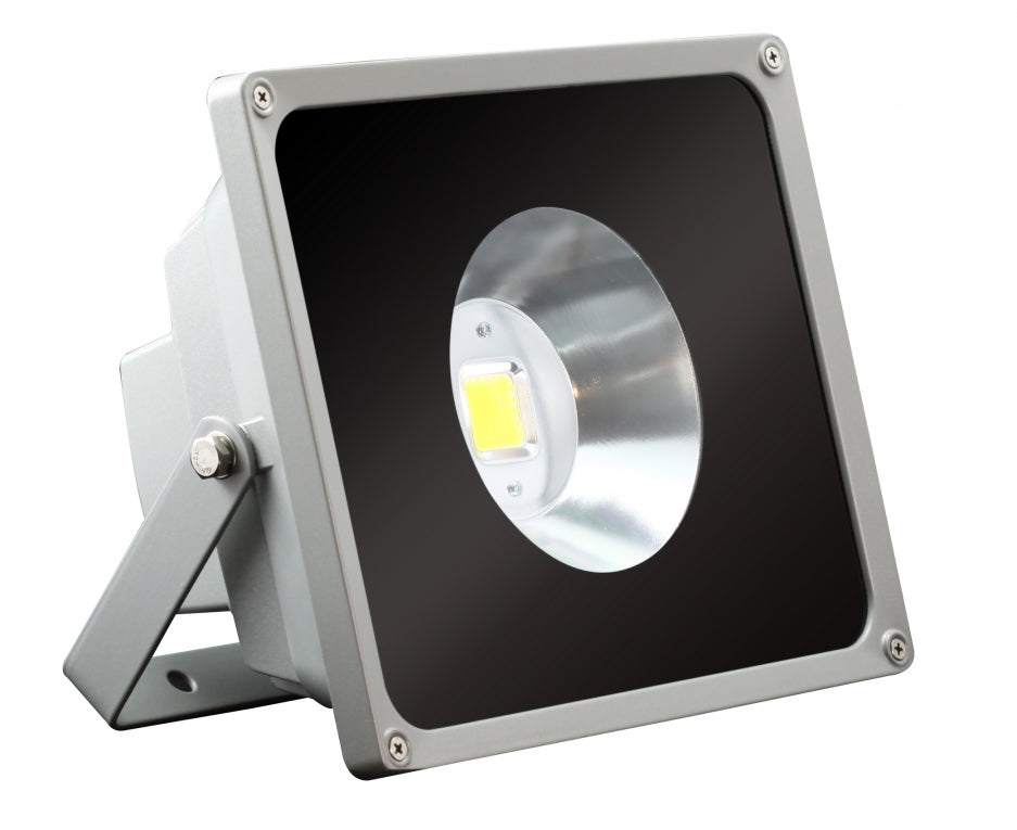 30W LED 12 Volt Schijnwerper Beam RGB outdoor - IR - remote - dimbaar