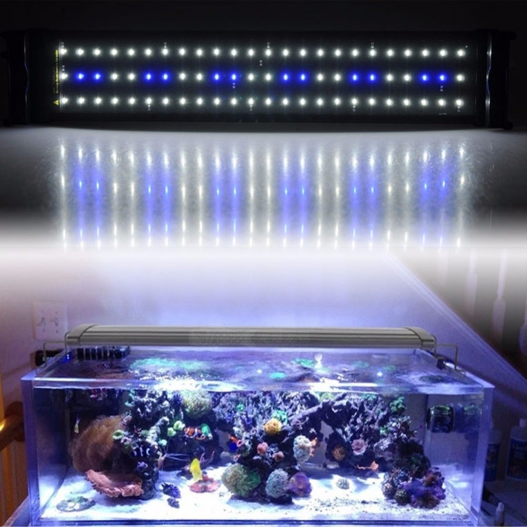 Aquarium bak LED 94cm 25W  blauw / wit