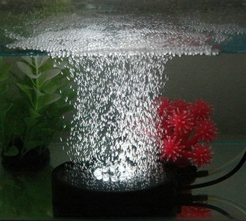Aquarium Luchtsteen 12 witte LEDs - Zwart