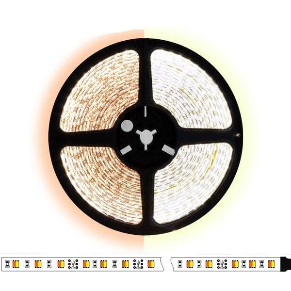 5 meter CCT  led strip DUAL LED - 120Leds/m - 3528 - 24V