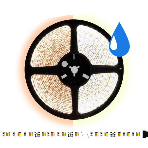 5 meter CCT  led strip DUAL LED - 60Leds/m - IP65 - 12V