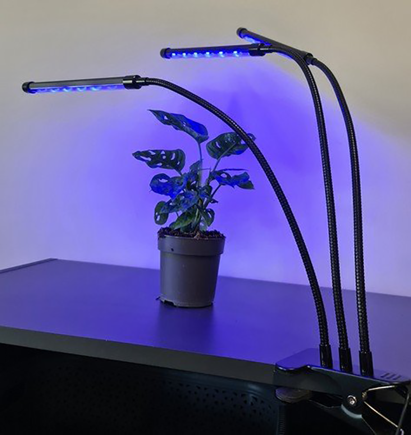 LED grow light - 3 voudig - Rood/blauw/paars - Met controller en timer