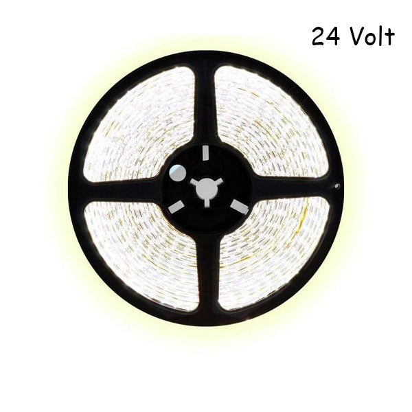 5 meter koud wit led strip - 240Leds/m - 24V - 3528