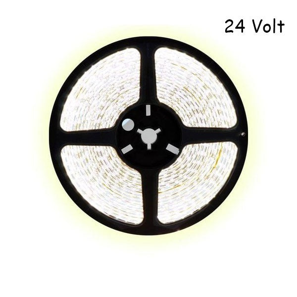 5 meter daglicht led strip - 512Leds/m - 24V - COB