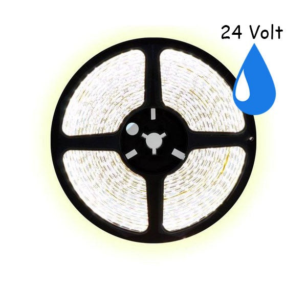 5 meter koud wit led strip waterproof - IP65 - 60Leds/m - 24V