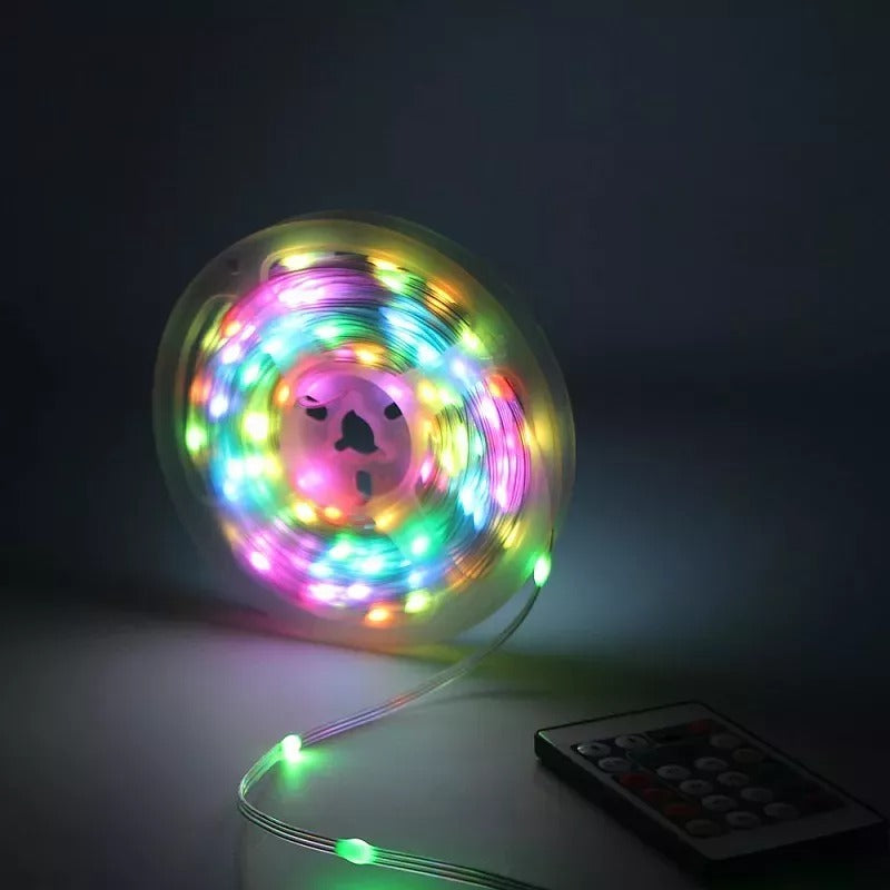 RGB lichtslinger 10 meter USB - programmeerbaar - 100 LED - Dreamcolor