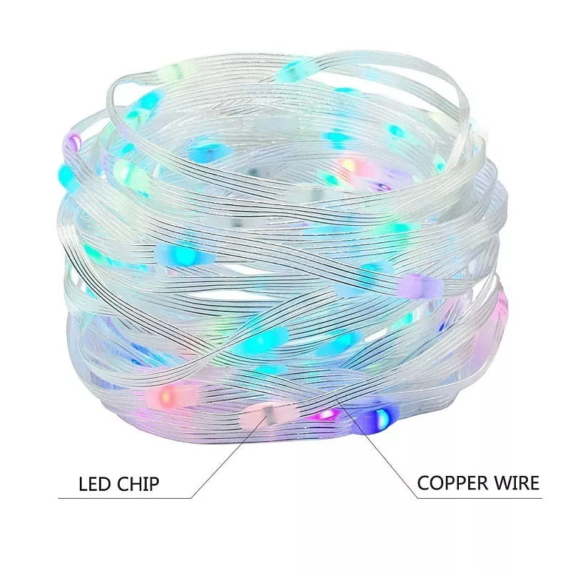 RGB lichtslinger 10 meter USB - programmeerbaar - 100 LED - Dreamcolor