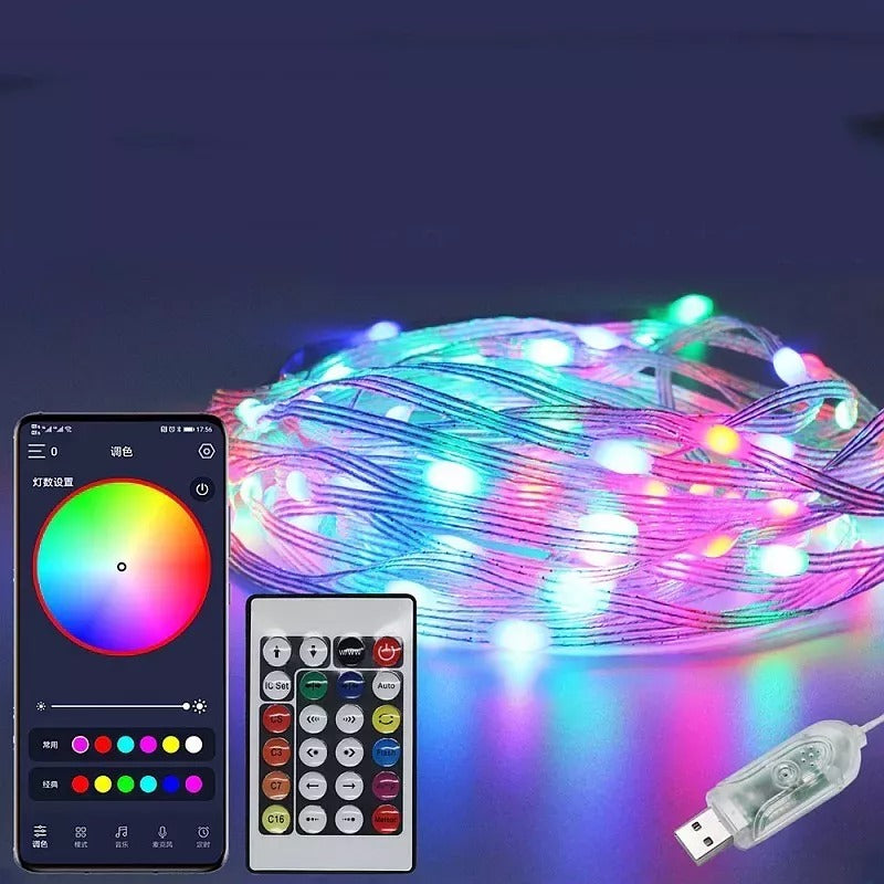 RGB lichtslinger 10 meter USB - programmeerbaar - 100 LED - Dreamcolor