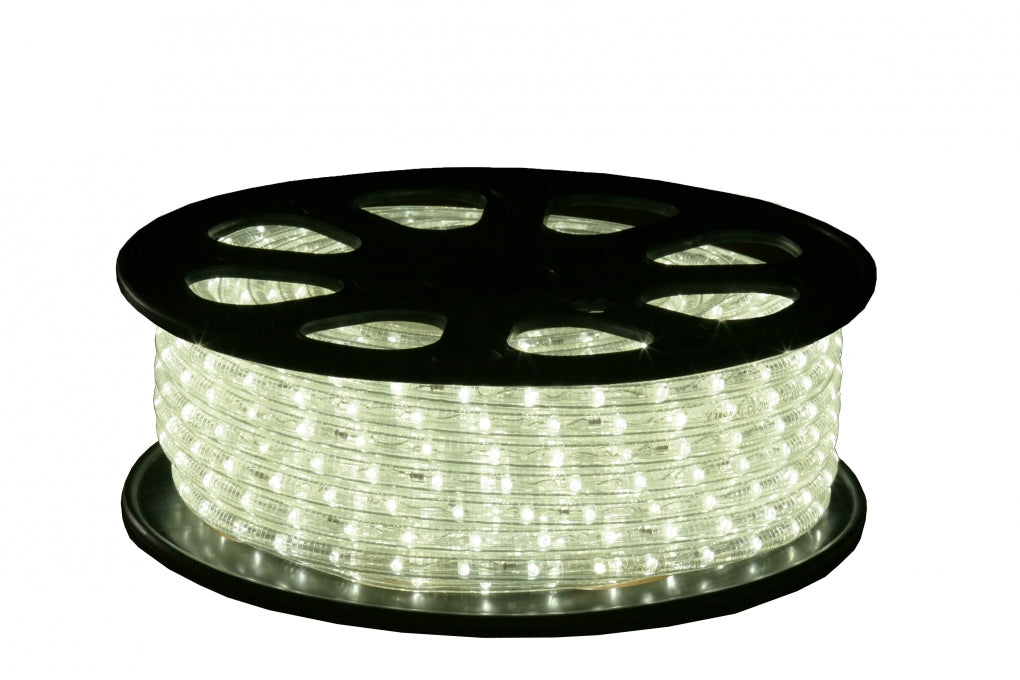 LED Lichtslang - 10 meter - koud wit - 220V IP44