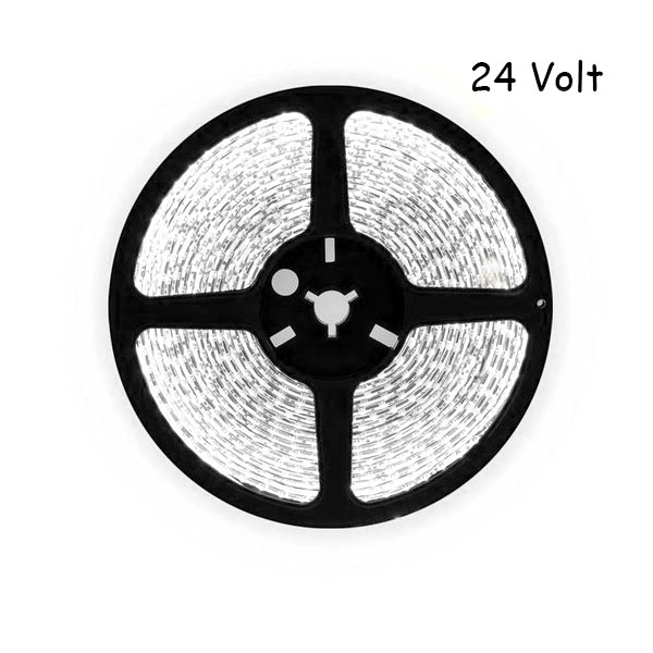 5 meter daglicht led strip - 120Leds/m - 24V - 2835